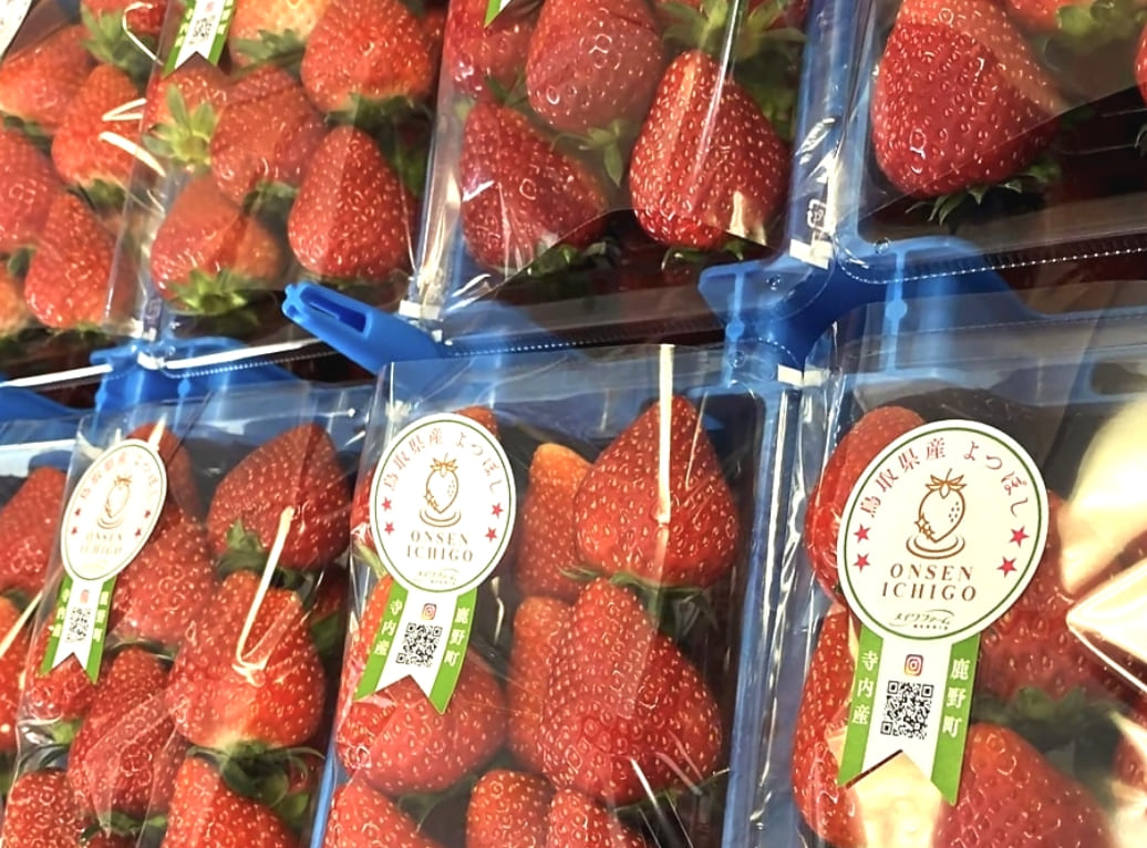 株式会社 メイワファームHYBRID