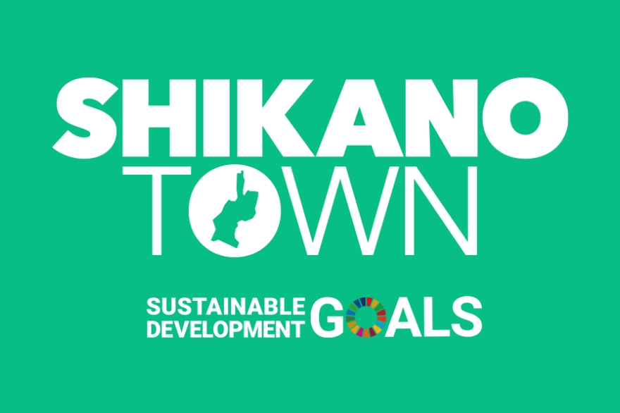 SHIKANA TOWN SUSTAINABLE DEVELOPMENT COALS